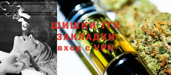 ешки Аркадак