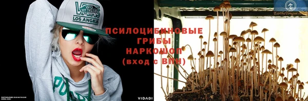 круглые Алексеевка